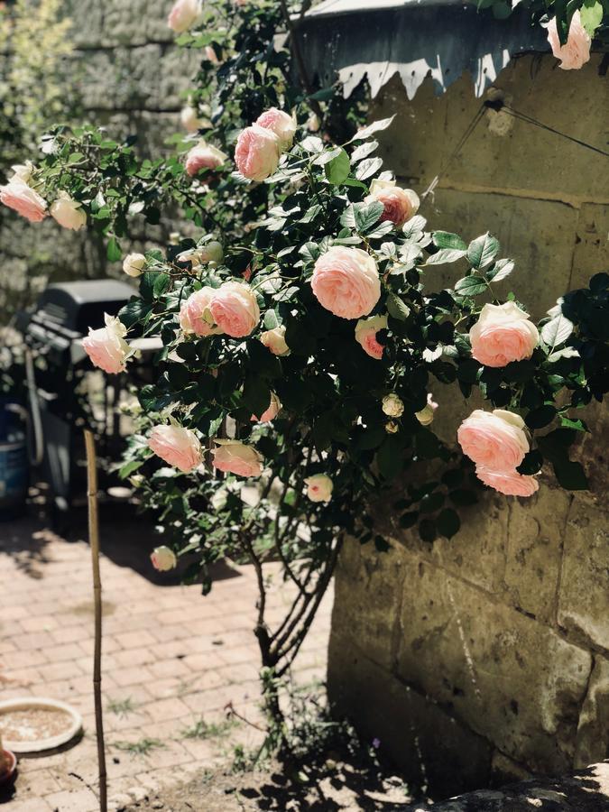 A La Fleur De Lys Acomodação com café da manhã Langeais Exterior foto